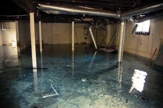 how much damage water can do to a basement