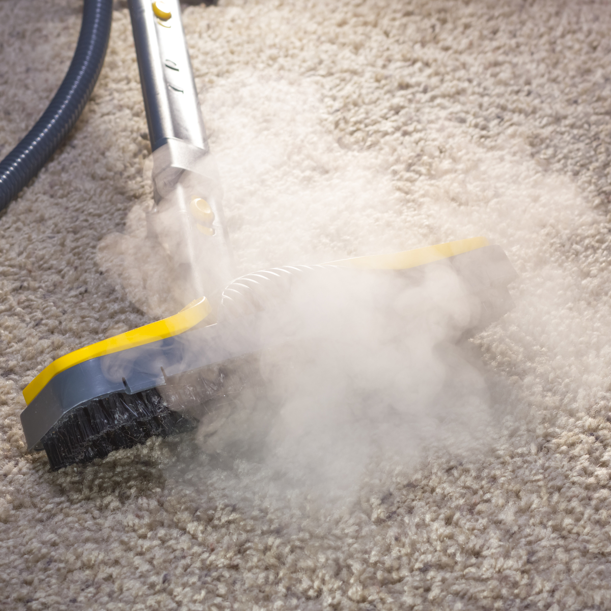 Should I Rent a Steam Cleaner or Have a Professional Do It? Modernistic®