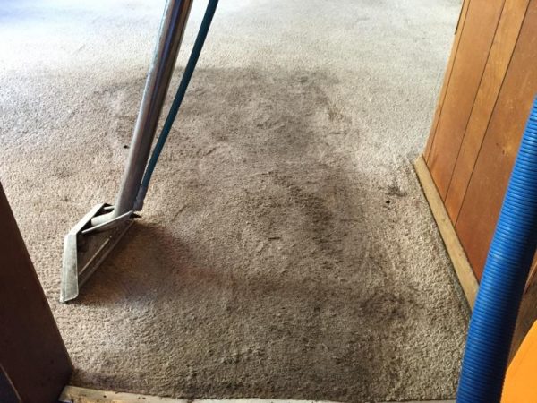 how to prevent wear patterns in carpet
